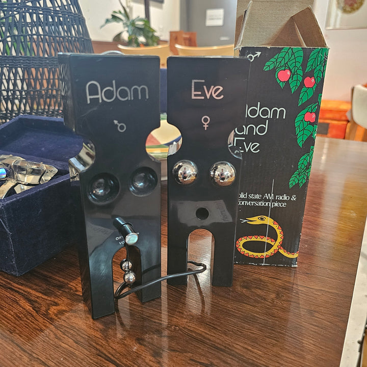 Vintage 1977 Adam & Eve Pop Art Radio